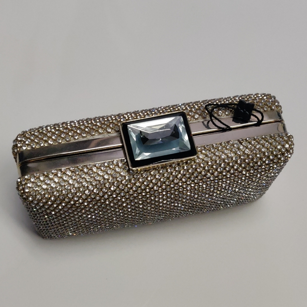 BCBG Maxazria Evening Clutch Bag